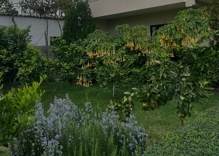 Apartment Villa's Daci